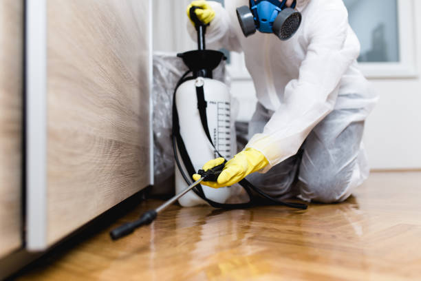 Best Pest Control for Homes  in Prague, OK