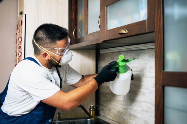 Pest Control Cost in Prague, OK