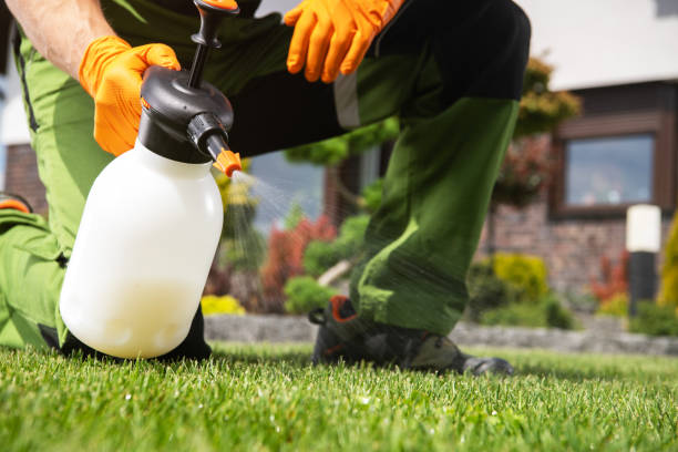 Best Affordable Pest Control Services  in Prague, OK
