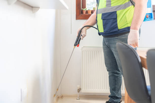 Best Local Pest Control Services  in Prague, OK