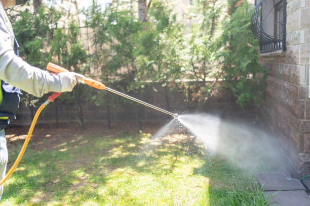 Best Wasp Removal Services  in Prague, OK