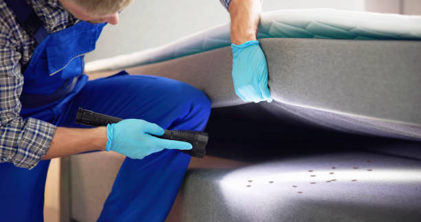 Best Termite Control Services  in Prague, OK