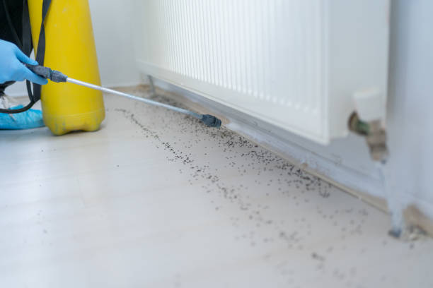 Best Pest Control Treatment  in Prague, OK