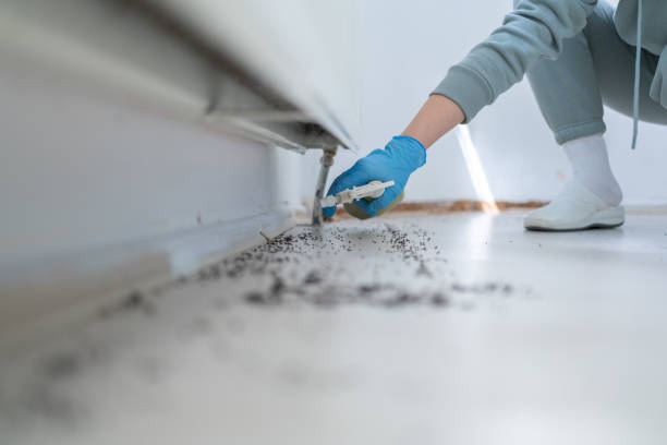 Best Best Pest Control Companies  in Prague, OK