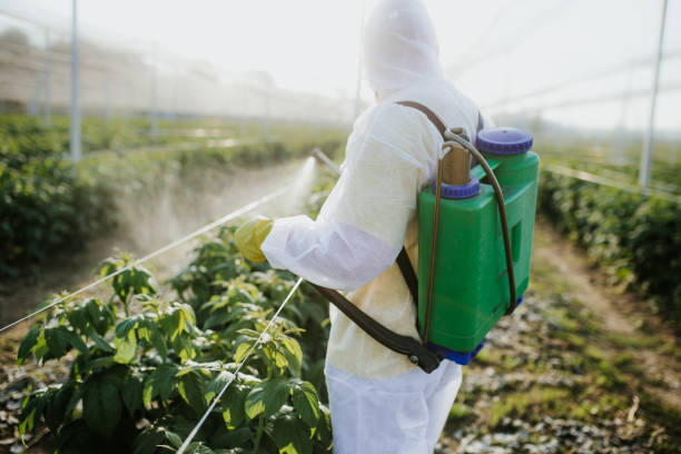 Best Pest Removal Services  in Prague, OK